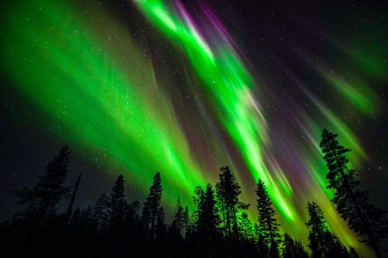 From Rovaniemi: Family-Friendly Northern Lights Tour - Inclusions