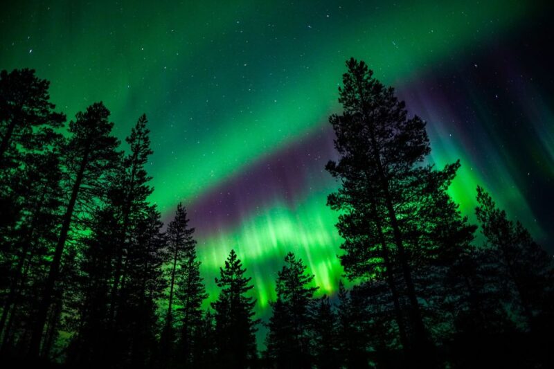 From Rovaniemi: Family-Friendly Northern Lights Tour - Important Information