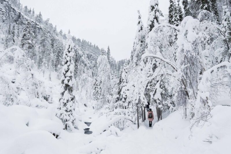 From Rovaniemi: Frozen Waterfalls of Korouoma Full-Day Tour - Tour Overview