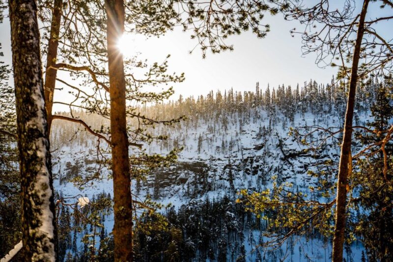 From Rovaniemi: Frozen Waterfalls of Korouoma Full-Day Tour - Customer Feedback