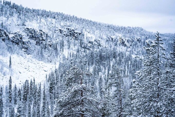 From Rovaniemi: Frozen Waterfalls of Korouoma Full-Day Tour - Sum Up