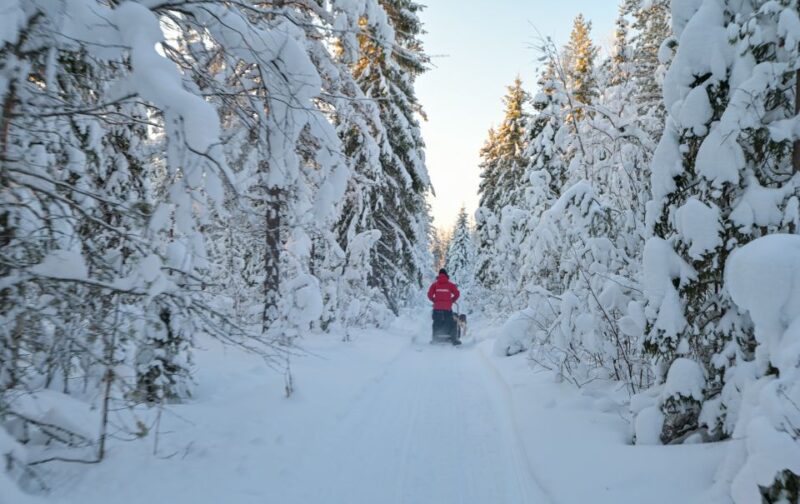 From Rovaniemi: Husky Safari and Salmon Ice Fishing - Equipment and Safety