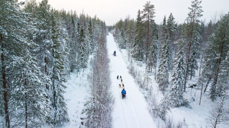 From Rovaniemi: Husky Safari and Salmon Ice Fishing - Customer Reviews