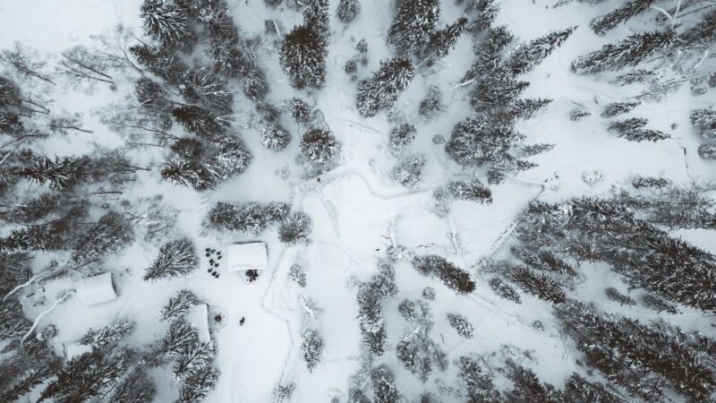 From Rovaniemi: Korouoma Canyon and Frozen Waterfalls Tour - Group Size and Language