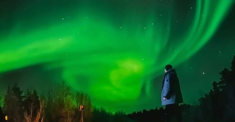 From Rovaniemi: Lapland Aurora Hunt With Barbeque - Itinerary and Experience
