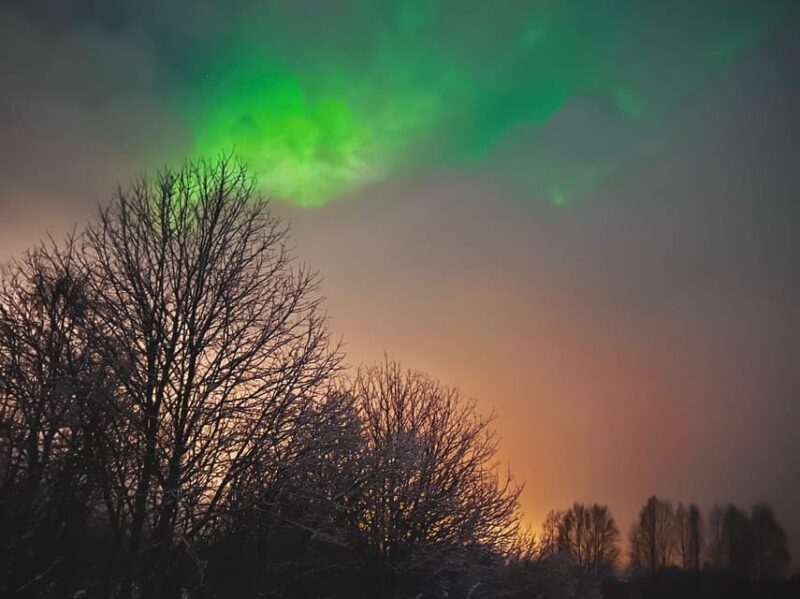 From Rovaniemi: Lapland Aurora Hunt With Barbeque - Included Amenities