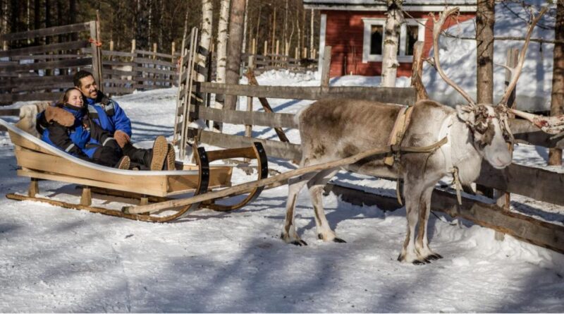 From Rovaniemi: Lapland Reindeer and Husky Sled Safari - Frequently Asked Questions