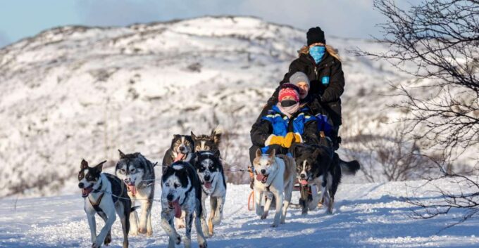 From Rovaniemi: Lapland Reindeer and Husky Sled Safari - Sum Up