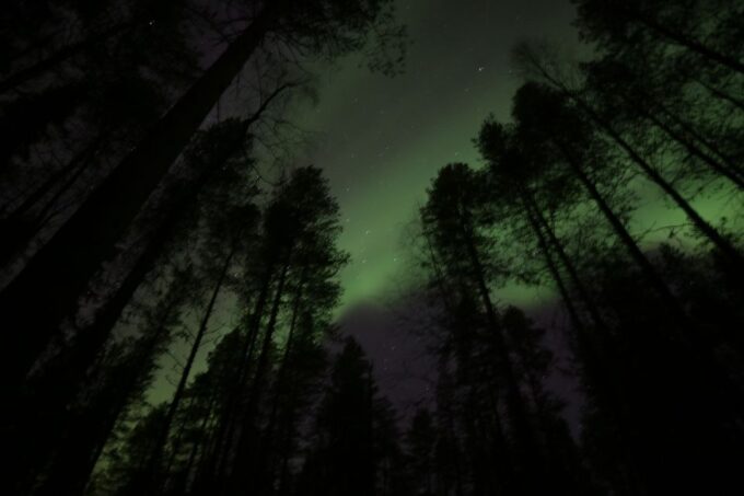 From Rovaniemi: Northern Lights Experience With Campfire - Sum Up