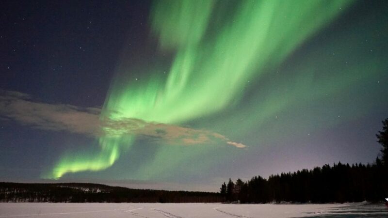 From Rovaniemi: Northern Lights Van Tour With Photos - Tour Overview and Pricing