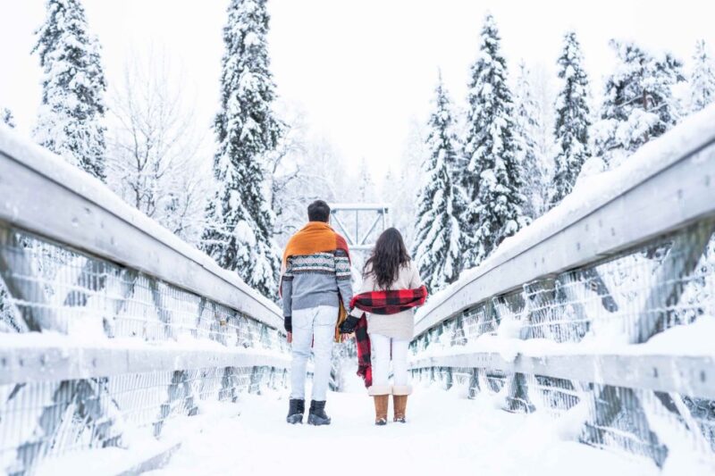 From Rovaniemi: Private Photoshoot in the Lappish Wilderness - Professional Photographer