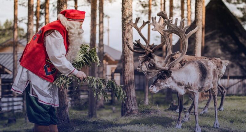 From Rovaniemi: Private Santa Claus Village Tour - Transportation and Pickup