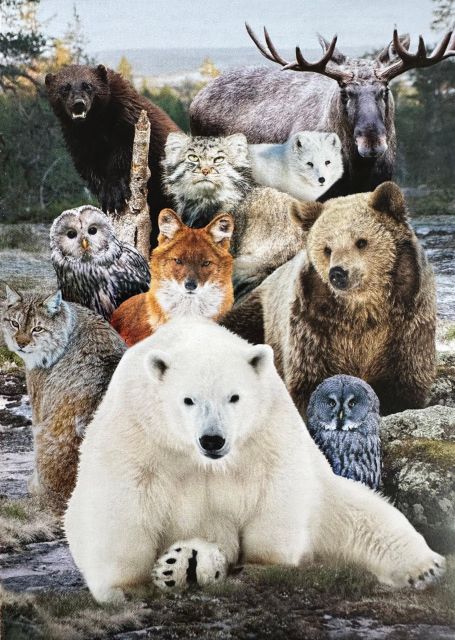 From Rovaniemi: Private Tour to Ranua Zoo - Inclusions