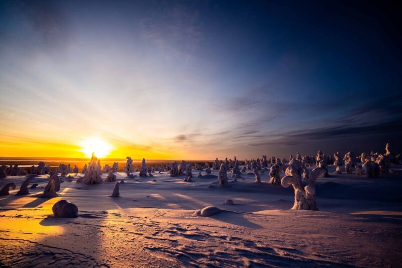 From Rovaniemi: Riisitunturi Full-Day Wilderness Adventure - Customer Feedback and Ratings