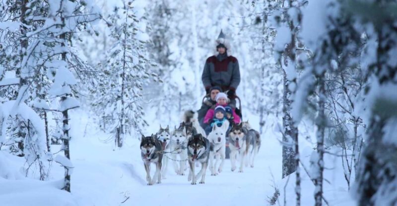 From Rovaniemi: Self-Driven 10km Husky Sled Ride - Tour Overview