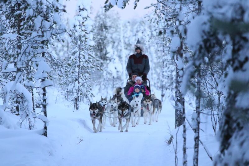 From Rovaniemi: Self-Driven 10km Husky Sled Ride - Stunning Landscapes