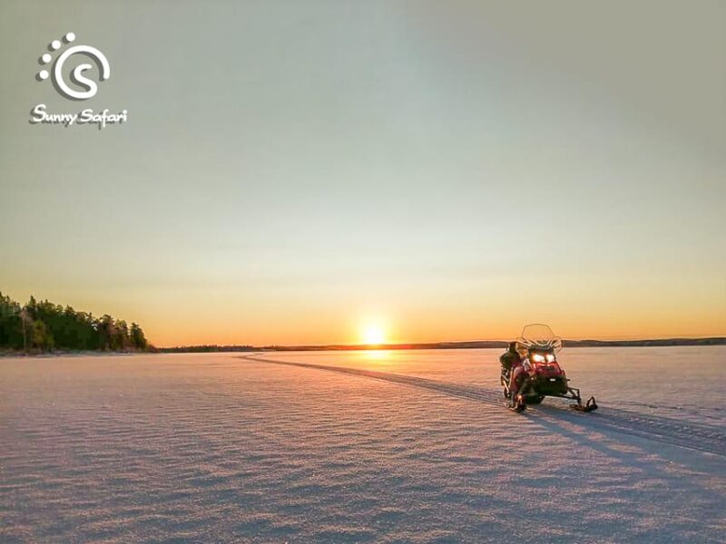 From Rovaniemi: Snowmobile Safari Into Arctic Wilderness - Pricing and Availability