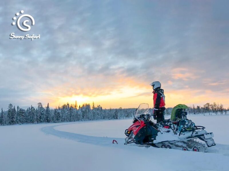 From Rovaniemi: Snowmobile Safari Into Arctic Wilderness - Activity Highlights
