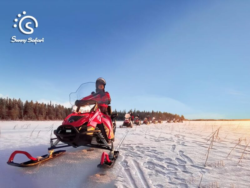 From Rovaniemi: Snowmobile Safari Into Arctic Wilderness - Frequently Asked Questions