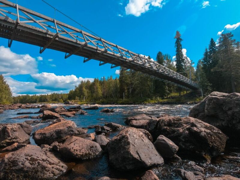 From Rovaniemi: Vikaköngäs Forest Hiking Tour With BBQ - Tour Overview and Details