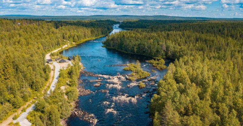 From Rovaniemi: Vikaköngäs Forest Hiking Tour With BBQ - Inclusions