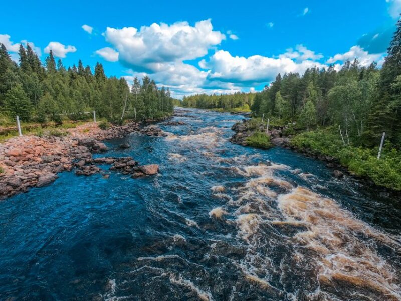 From Rovaniemi: Vikaköngäs Forest Hiking Tour With BBQ - Important Information
