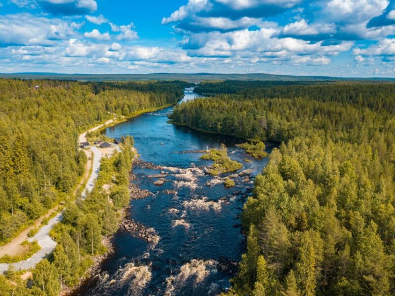 From Rovaniemi: Vikaköngäs Forest Hiking Tour With BBQ - Customer Reviews