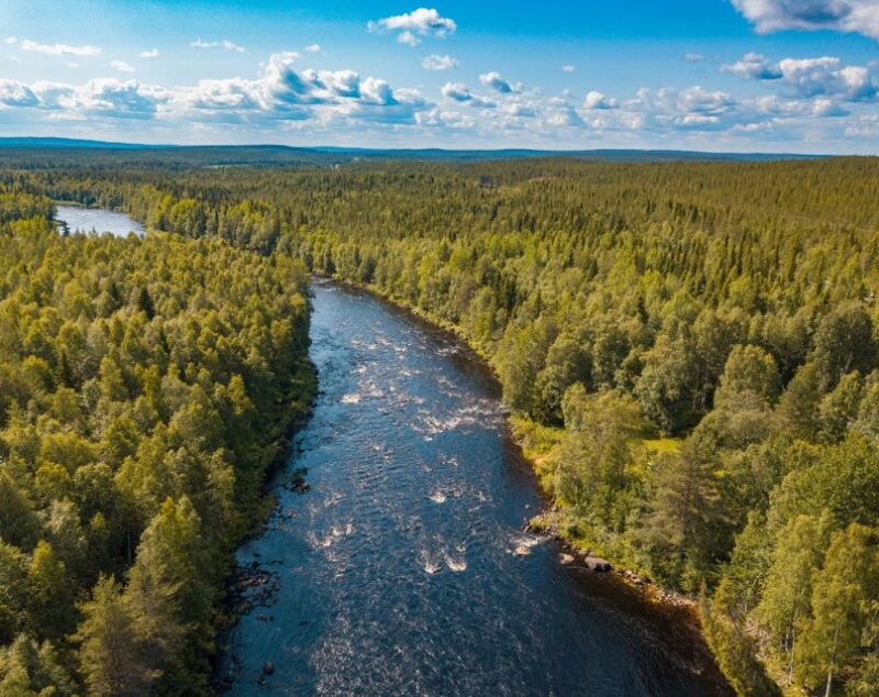 From Rovaniemi: Vikaköngäs Forest Hiking Tour With BBQ - Exploring Vikaköngäs Hiking Area