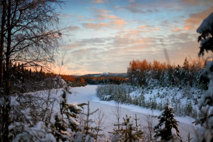 From Rovaniemi: Vikaköngäs Forest Hiking Tour With BBQ - Frequently Asked Questions