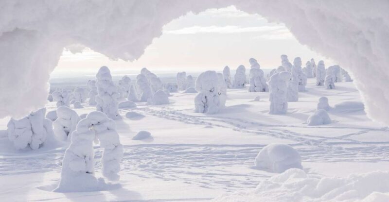 From Rovaniemi: Winter Wonderland Hike With a Hot Drink - Tour Overview