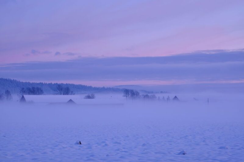 From Rovaniemi: Winter Wonderland Hike With a Hot Drink - Magical Hiking Experience
