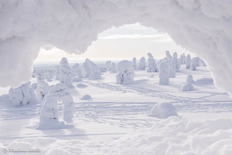 From Rovaniemi: Winter Wonderland Hike With a Hot Drink - Frequently Asked Questions