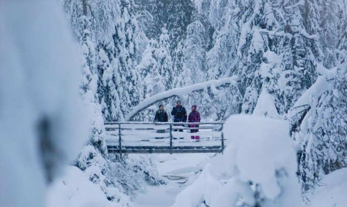 From Rovaniemi:Korouoma Canyon and Frozen Waterfalls Tour - Group Types