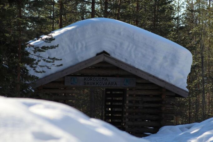 From Rovaniemi:Korouoma Canyon and Frozen Waterfalls Tour - Customer Feedback