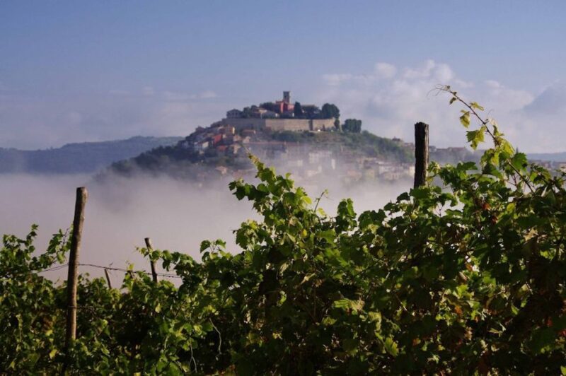From Rovinj: Istria in 1 Day Tour With Truffle Tasting - Good To Know