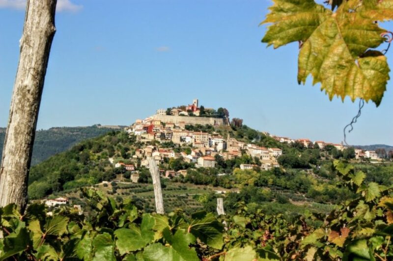 From Rovinj: Istria in 1 Day Tour With Truffle Tasting - Itinerary Highlights