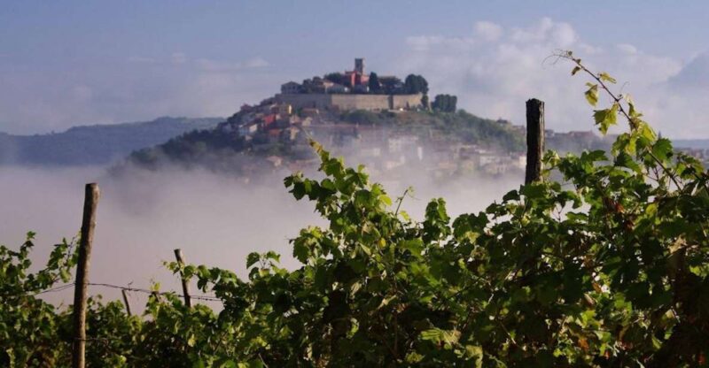 From Rovinj: Istria in 1 Day Tour With Truffle Tasting - Transportation and Logistics