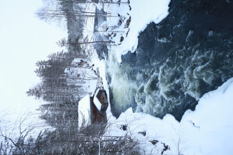 From Ruka: Snowshoeing in Oulanka National Park - Activity Overview