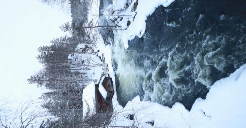 From Ruka: Snowshoeing in Oulanka National Park - Experience Highlights