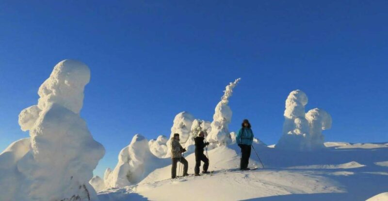 From Ruka: Snowshoeing in Riisitunturi National Park - Itinerary and Experience