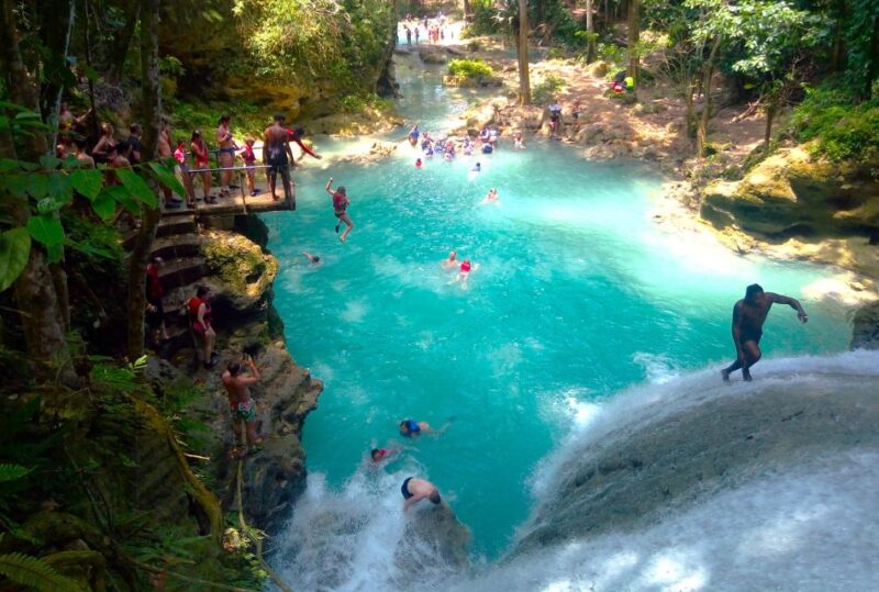 From Runaway Bay: Island Gully Falls and Blue Hole Tour - Key Points