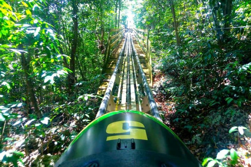from Runaway Bay: Jamaica Bobsled and Zipline - The Full Experience: What to Expect from Start to Finish