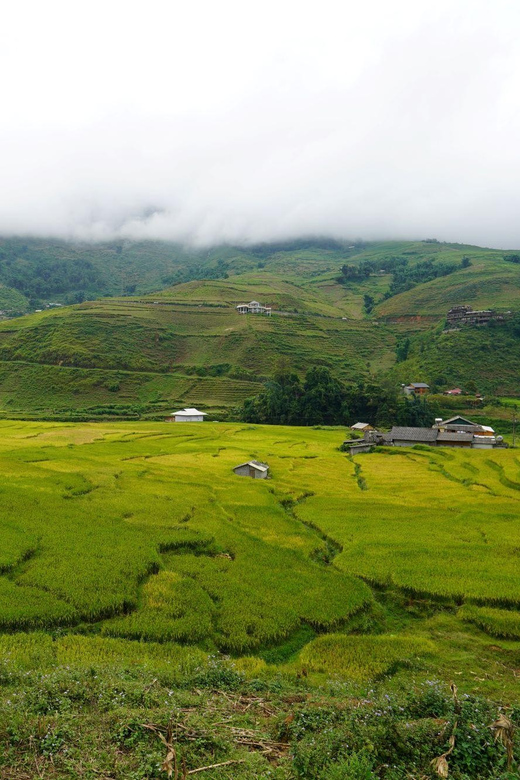 From Sa Pa: Half Day Muong Hoa Valley Trek and Ethnic Tribes - Itinerary Highlights