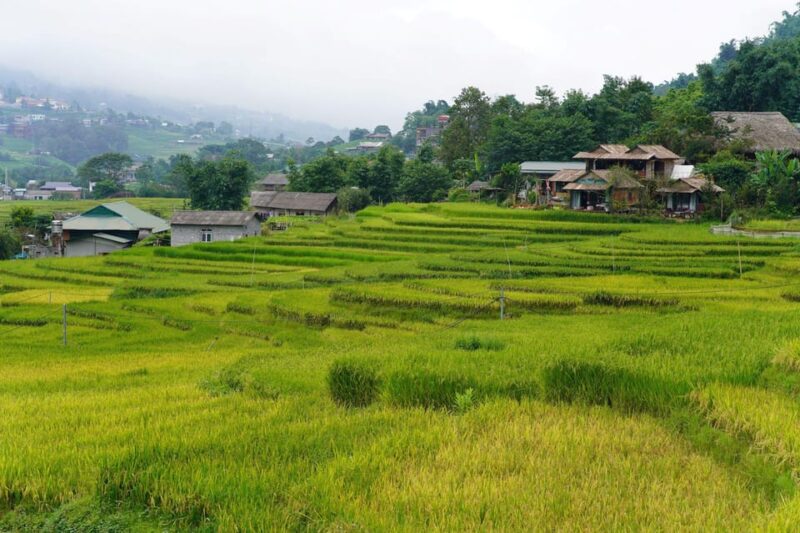 From Sa Pa: Half Day Muong Hoa Valley Trek and Ethnic Tribes - Inclusions