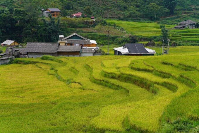 From Sa Pa: Half Day Muong Hoa Valley Trek and Ethnic Tribes - Exploring Y Linh Ho Village
