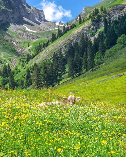 From Saanen: Private Bollywood Attractions Tour - Pricing and Duration