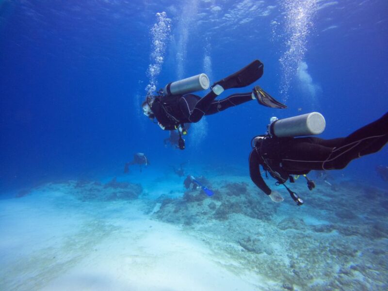 From Safaga: Diving & Snorkeling Trip 2 Spots With Lunch - Itinerary Details