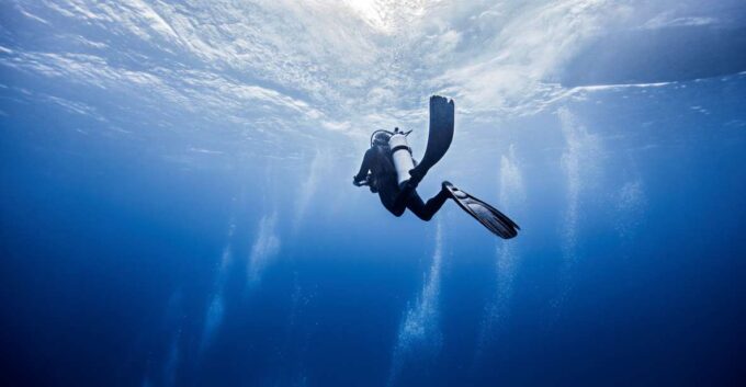 From Safaga: Diving & Snorkeling Trip 2 Spots With Lunch - Recap