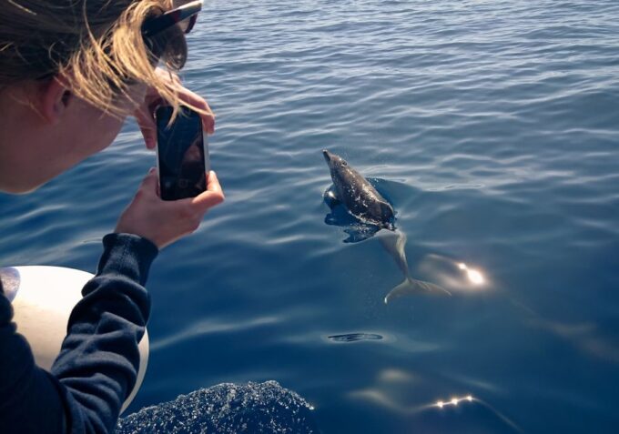 From Safaga: Dolphin Watching Cruise With Lunch and Drinks - Cancellation and Booking