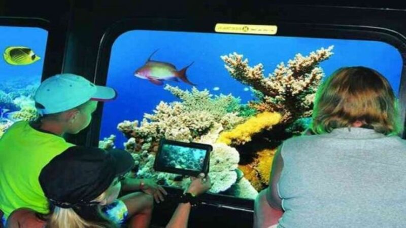 From Safaga or Soma Bay: Semi Submarine Tour With Snorkeling - Inclusions and Participants